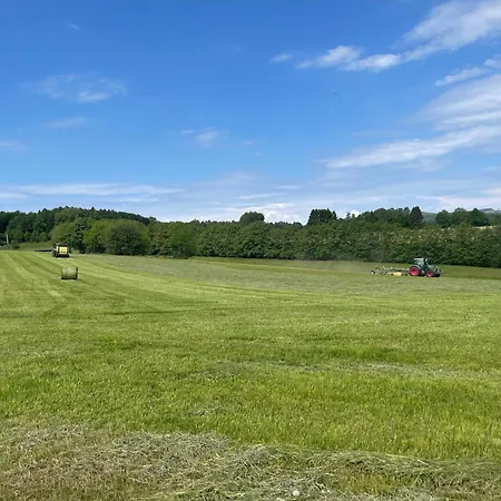 Forellenhof - Mitten In Der Apartament Oberelbert
