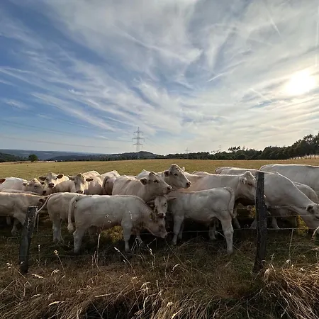 Apartament Forellenhof - Mitten In Der