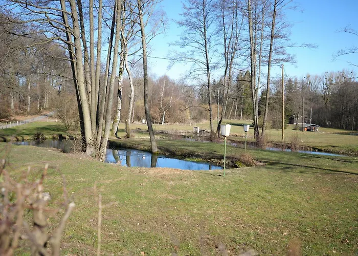 Forellenhof - Mitten In Der Apartament *