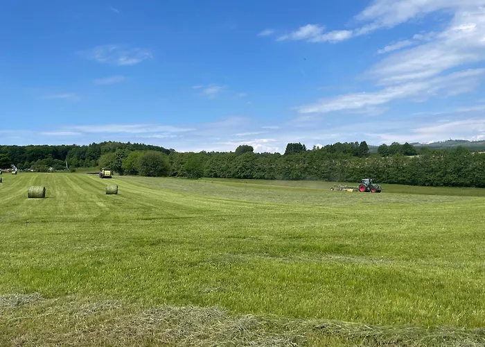Forellenhof - Mitten In Der Apartment Oberelbert
