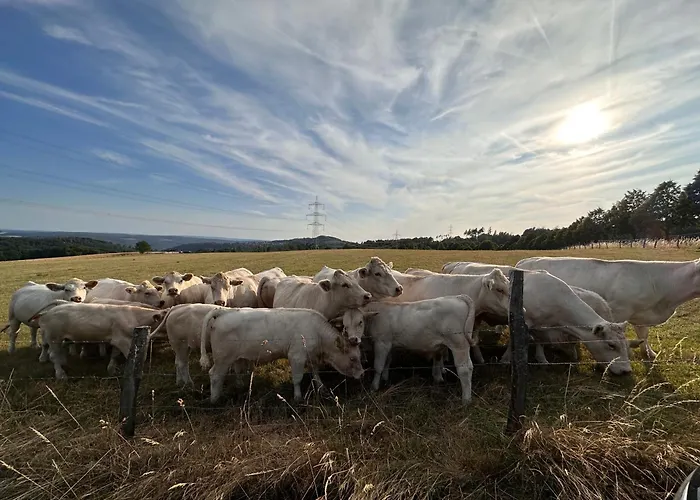 Apartment Forellenhof - Mitten In Der